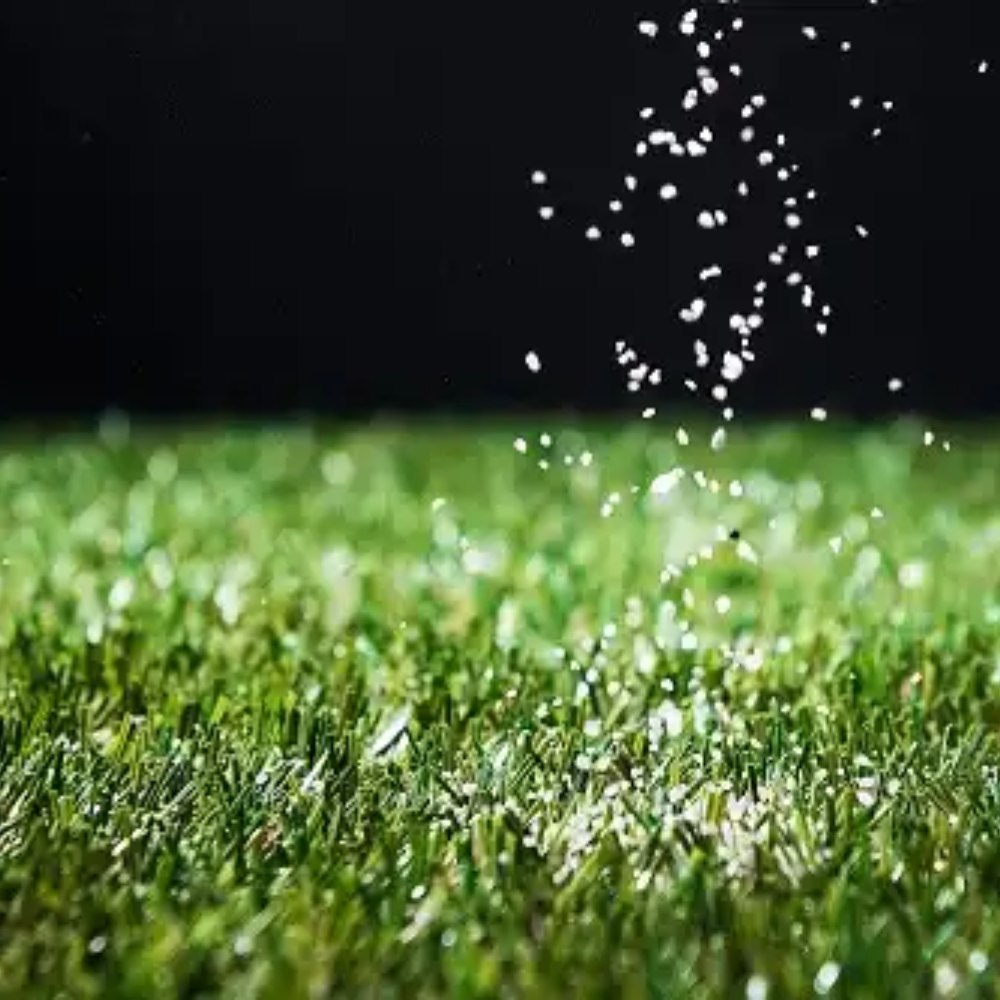 Sports Sand Dressing by Dandy's