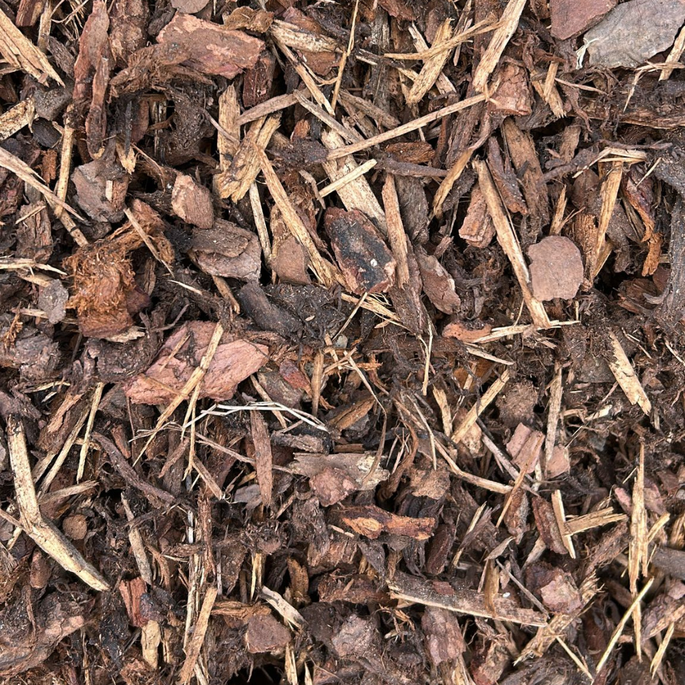 Dandy's Play Area and Premium Border Bark