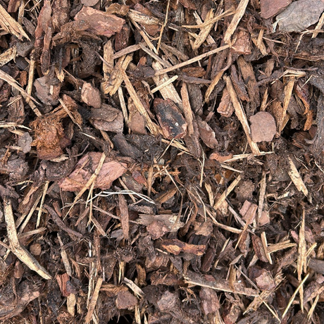 Dandy's Play Area and Premium Border Bark