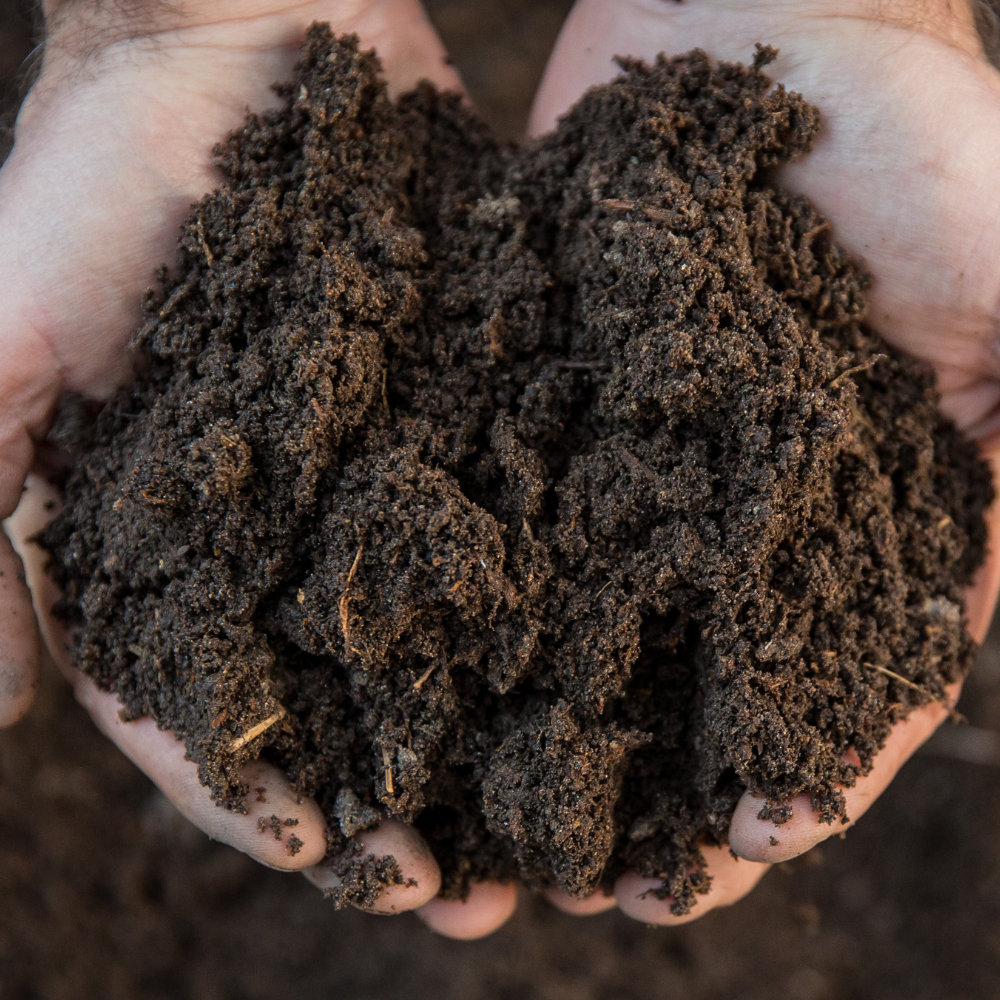 FruitBoost Welsh Topsoil Sample