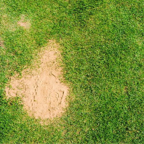 Horticultural Silica Sand - Dandy's Topsoil & Landscape Supplies