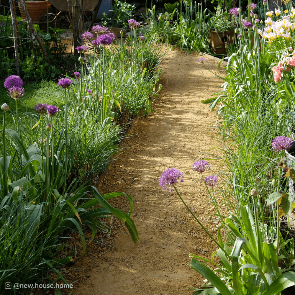 Hoggin Self Binding Gravel, Goldpath | FAST Nationwide Delivery – Dandy ...