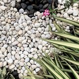 WhiteMarblePebbles20-40mm 