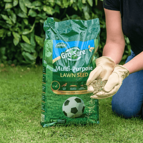 Person holding a bag of Gro-Sure multi-purpose lawn seed 