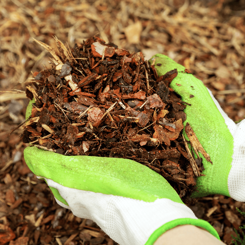 Dandys Premium Border Bark mulch sample | free postage – Dandy's