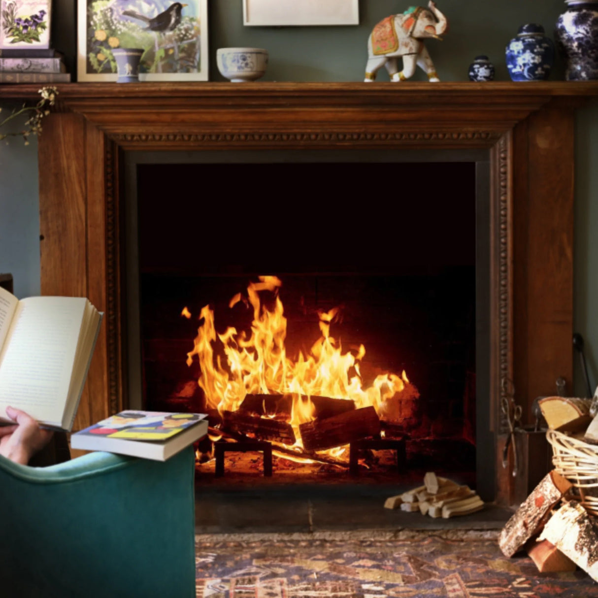 Ash Starter Kit. Kiln Dried Ash Logs, Kindling, Natural Firelighters and Matches
