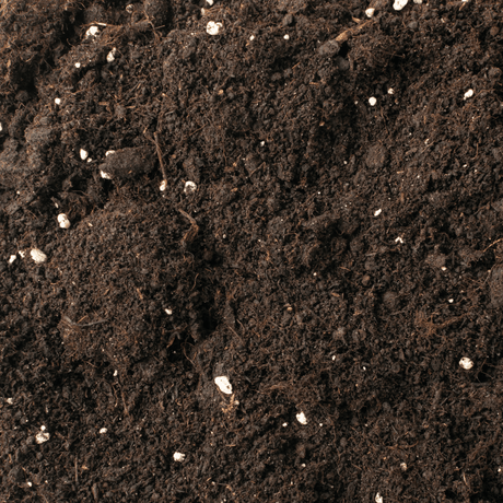 Extra: Pumice Stone - Dandy's Topsoil & Landscape Supplies