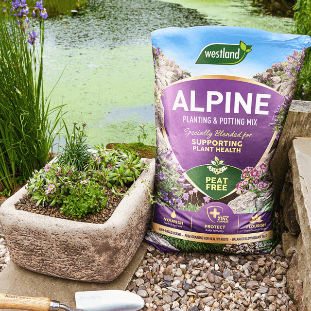 Alpine Planting & potting Mix 25ltr - Dandys Landscape Supplies