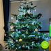Dandys Real Christmas Tree - Customer photo