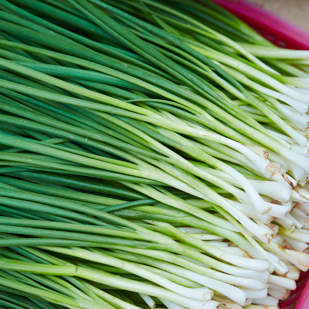 Chives Herb Seeds