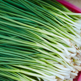 Chives Herb Seeds