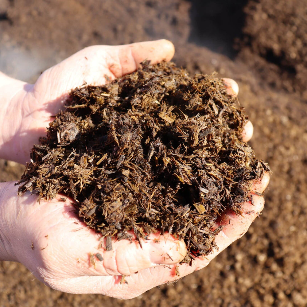 Dandy's AutumnMix Compost Sample | free postage – Dandy's Topsoil ...