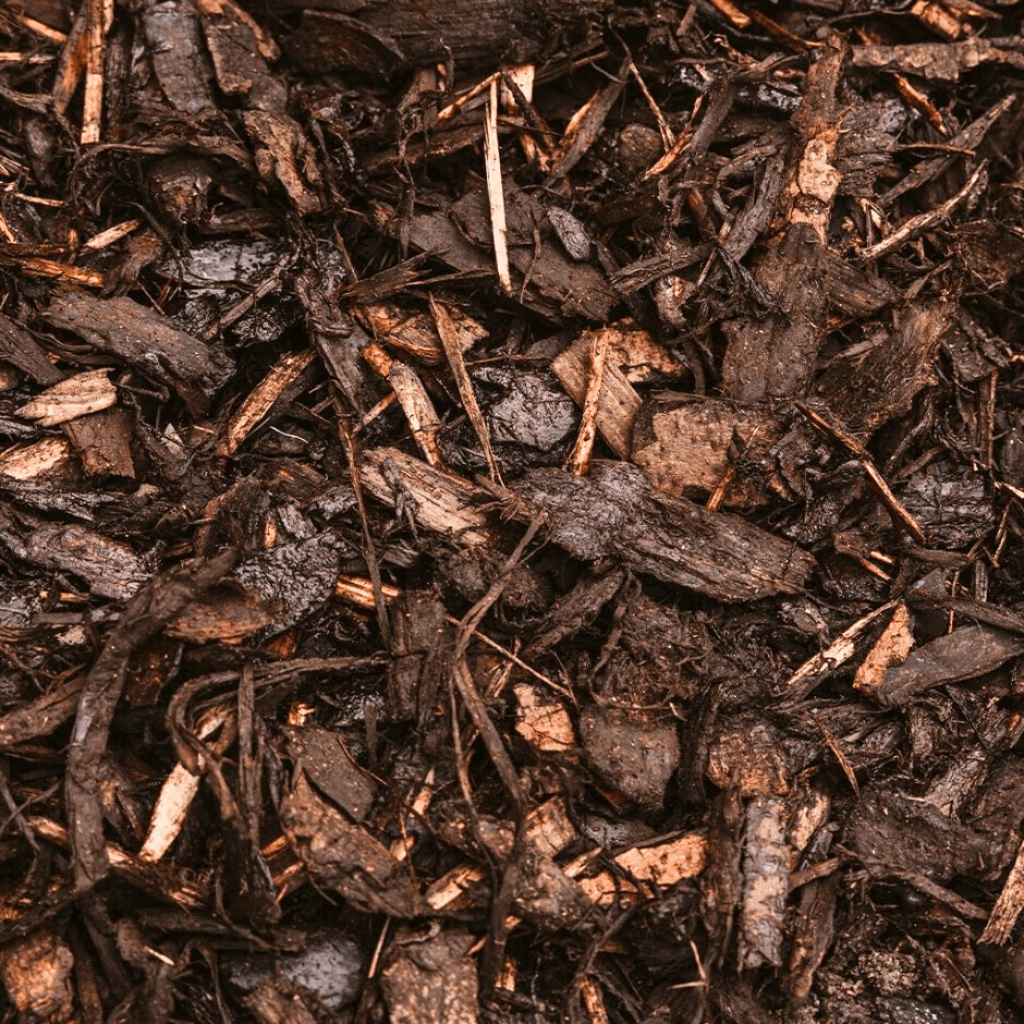 Landscaping Garden Bark Mulch - Dandy's Topsoil & Landscape Supplies