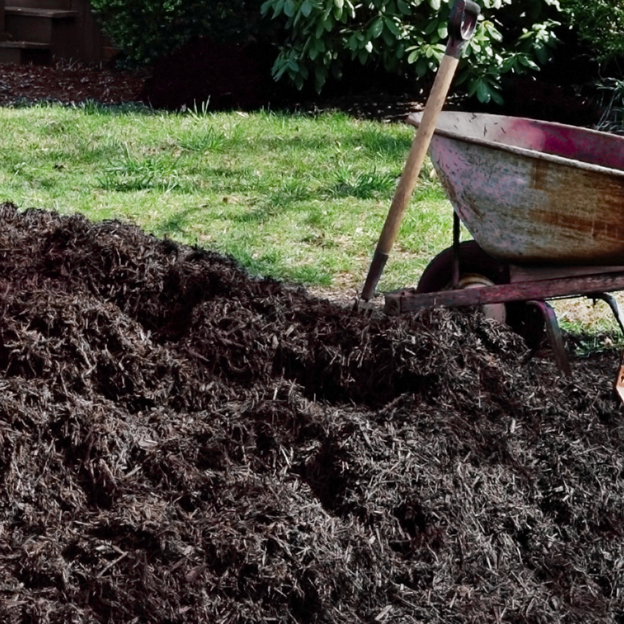Dandy's Organic AutumnMix Compost