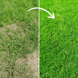 Complete Lawn Care Kit - Dandys Landscape Supplies