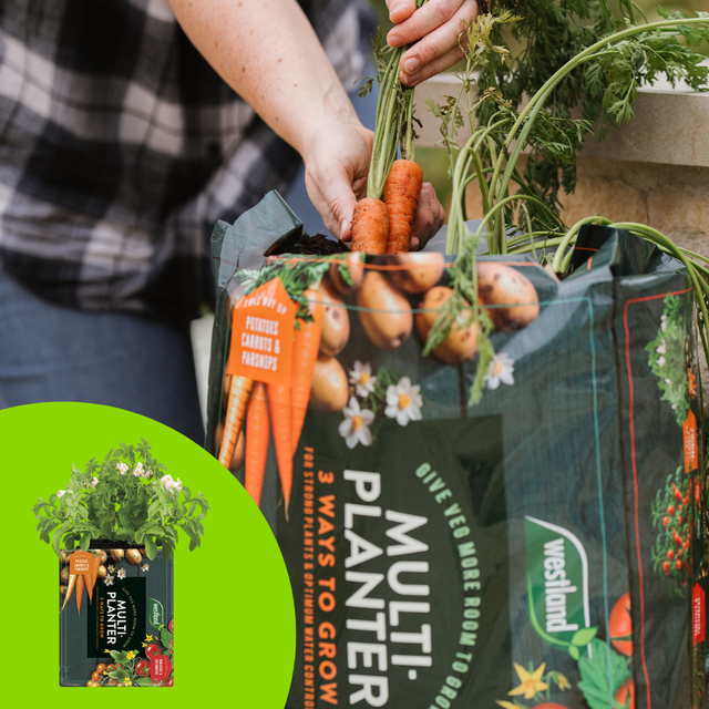 Multi-Planter Veg Compost