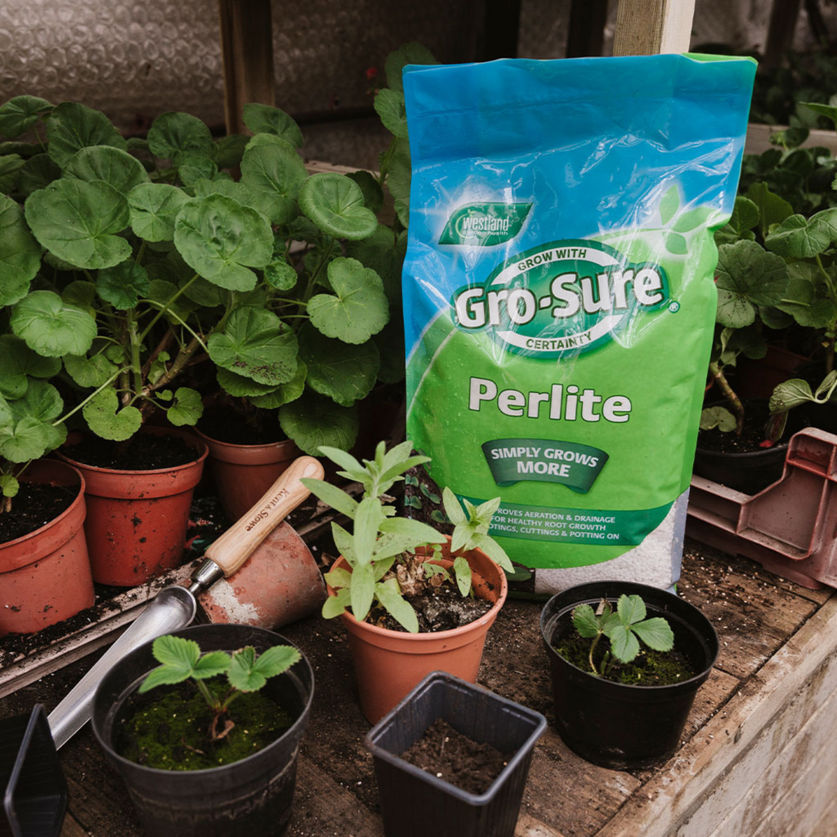 Add-on Perlite 10ltr