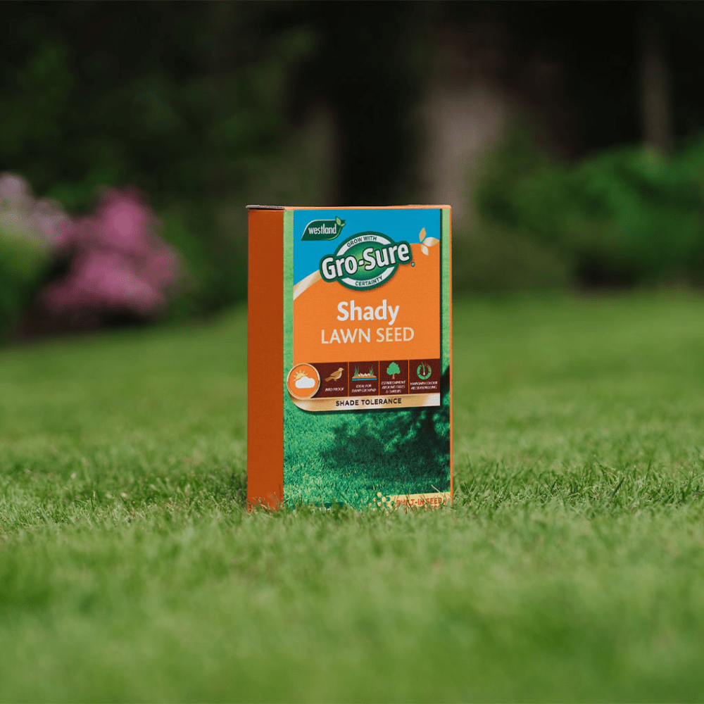 Add - on Shady Lawn Seed 10m2 - Dandy's Topsoil & Landscape Supplies