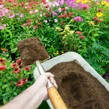 Dandy's Topsoil Click and Collect Handy Bags