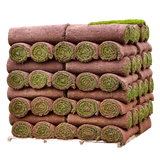 Click and Collect Lawn Turf m2 rolls - Special Offer (Collection only).