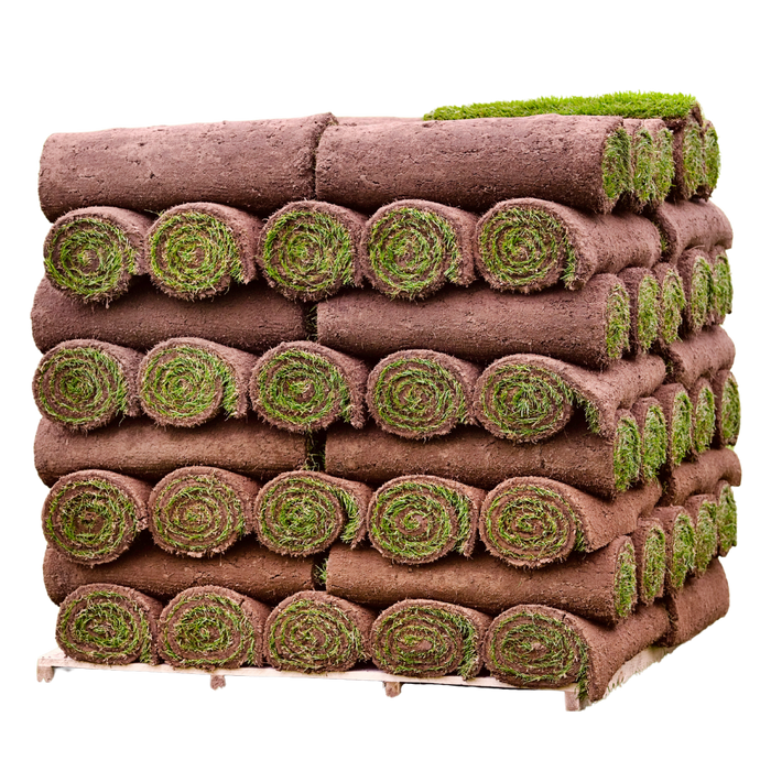 Click and Collect Lawn Turf m2 rolls - Special Offer (Collection only).