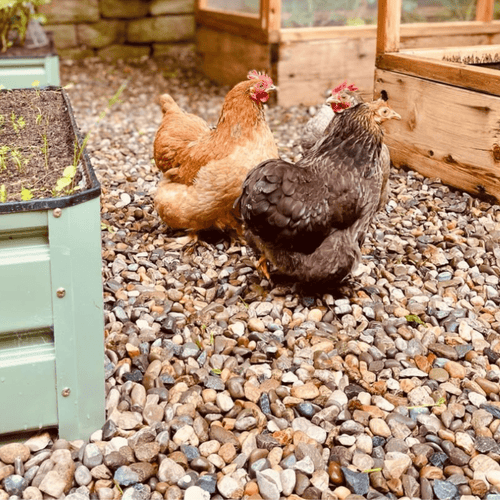 Welsh Brown Gravel - Dandy's Topsoil & Landscape Supplies