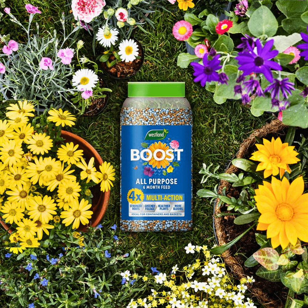 Timafeed Boost Boost All Purpose 6 Months Plant Feed 750g – Dandy's Topsoil ...