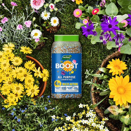 Boost All Purpose 6 Months Plant Feed 750g - Dandys Landscape Supplies