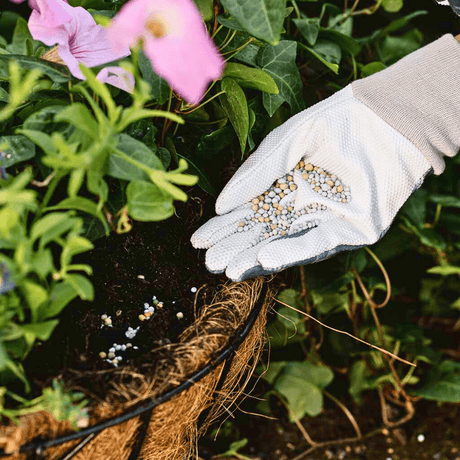 Boost All Purpose 6 Months Plant Feed 750g - Dandys Landscape Supplies