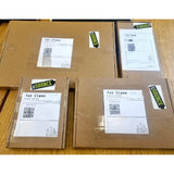 Beetroot Plug Plants "Grow Your Own" Vegetables **Letterbox Friendly** - Dandys Landscape Supplies