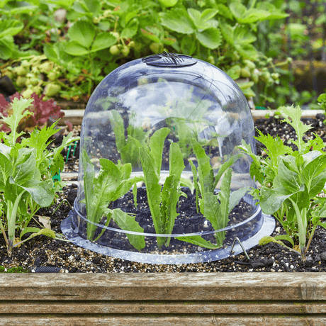 Bell Cloche Set, Pack of 3, 26 cm - Dandys Landscape Supplies