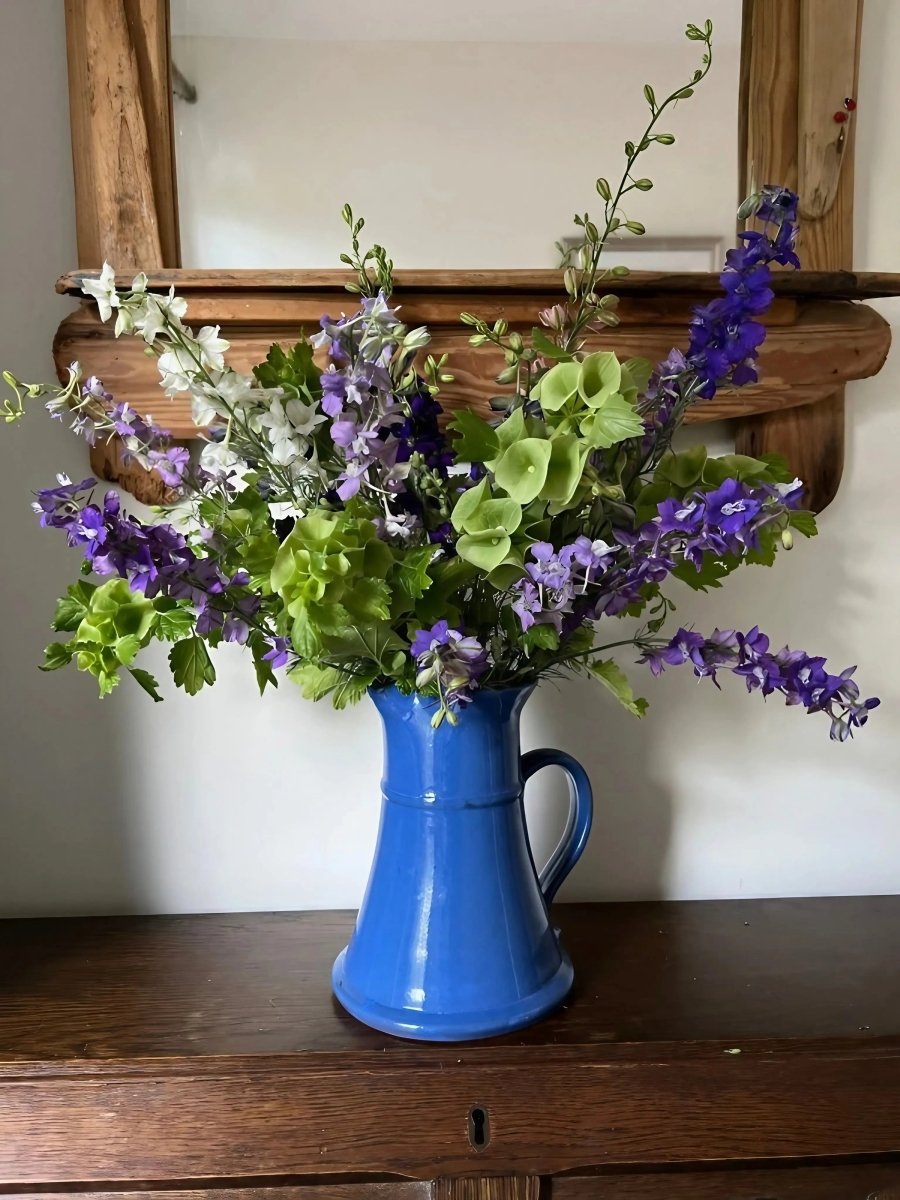 Bells of Ireland - Dandys Landscape Supplies