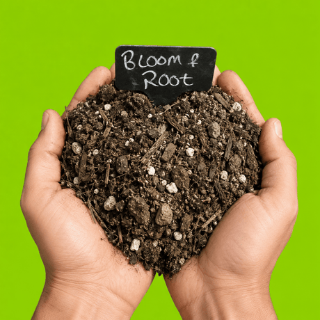 Bloom & Root® Rose Blend Topsoil - Dandy's Topsoil & Landscape Supplies