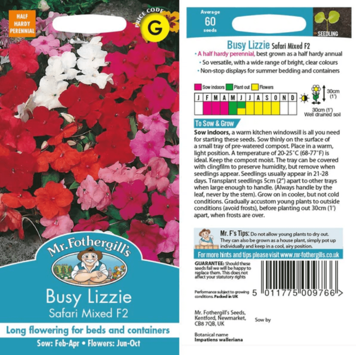 Busy Lizzie - Safari Mixed Flower Seeds - Dandys Landscape Supplies