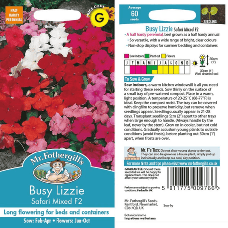 Busy Lizzie - Safari Mixed Flower Seeds - Dandys Landscape Supplies