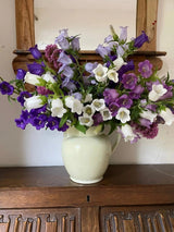Canterbury Bells Crown Single Mixed Seeds - Dandys Landscape Supplies