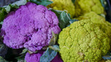 Cauliflower Plug Plants MIXED PACK "Grow Your Own" Vegetables 'Ready to Plant Now' Young Vegetable Plants **Letterbox Friendly** - Dandys Landscape Supplies