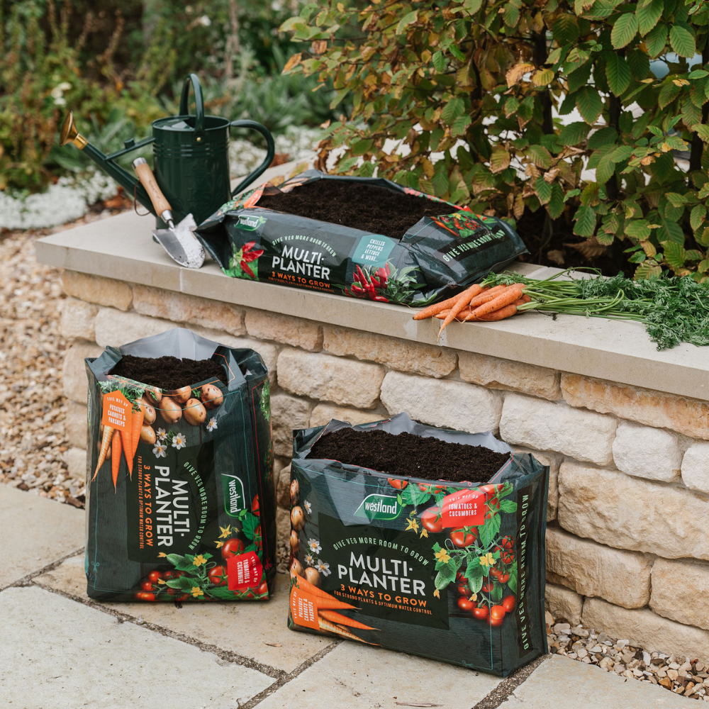 Click and Collect Multi - Planter Veg Compost 40ltr - Dandys Landscape Supplies