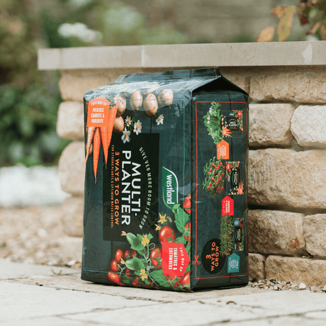Click and Collect Multi - Planter Veg Compost 40ltr - Dandys Landscape Supplies