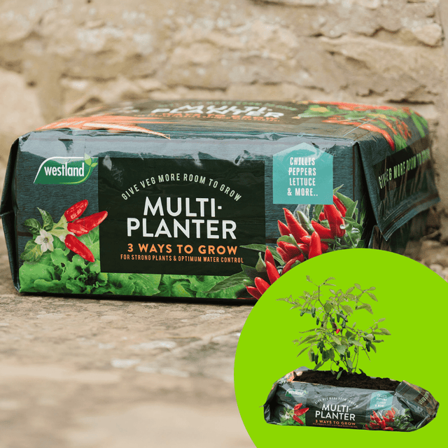 Click and Collect Multi - Planter Veg Compost 40ltr - Dandys Landscape Supplies