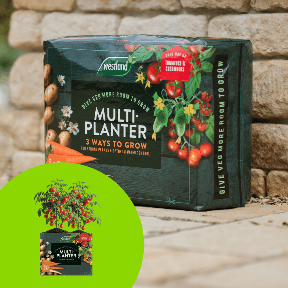 Click and Collect Multi - Planter Veg Compost 40ltr - Dandys Landscape Supplies