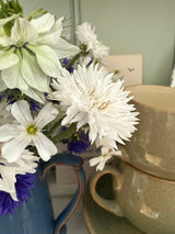 Cornflower Snowman Seeds - Dandys Landscape Supplies