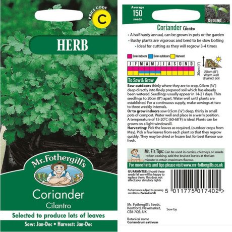 Corriander Cilantro Herb Seeds - Dandys Landscape Supplies
