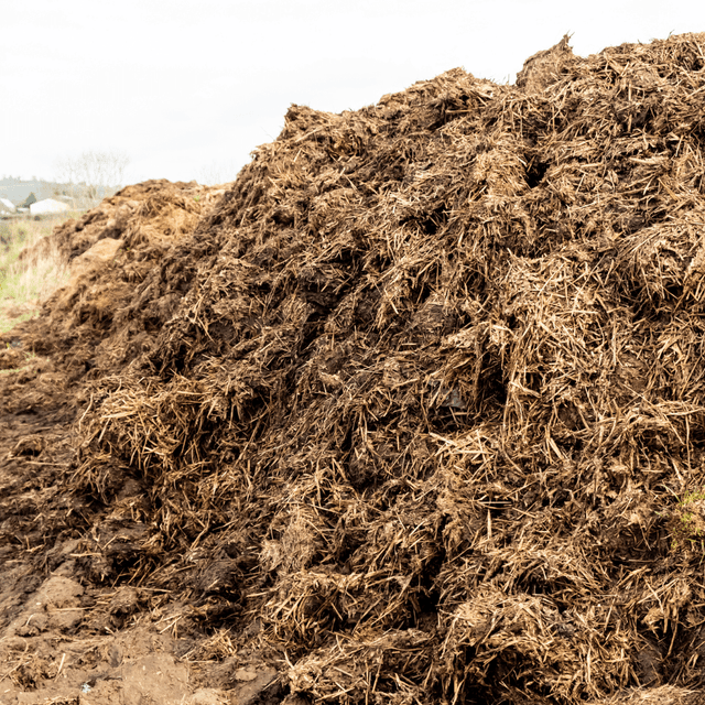 Dandy Manure Muck-Away