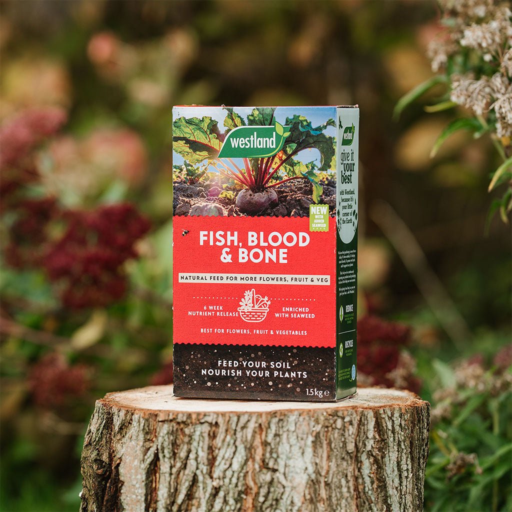 Fish, Blood & Bone 1.5kg - Dandys Landscape Supplies