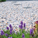 Flamingo Gravel Chippings 20mm