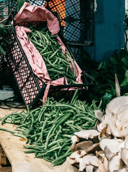French Dwarf Bean Plug Plants "Grow Your Own" Vegetables 'Ready to Plant Now' Young Vegetable Plants **Letterbox Friendly** (Copy) - Dandys Landscape Supplies