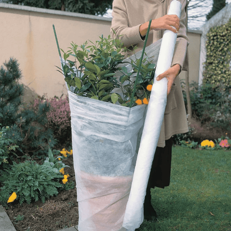 FROST FLEECE 