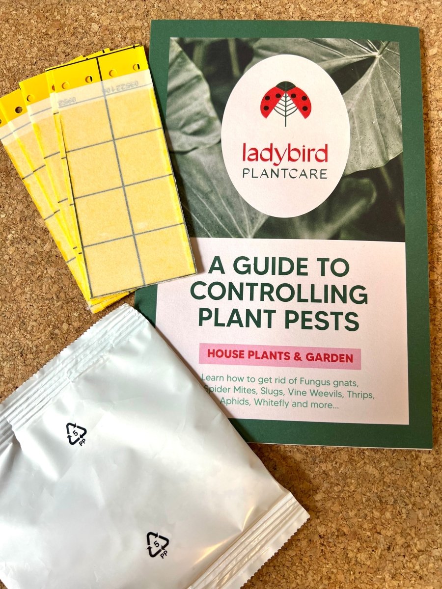 Fungus Gnat treatment bundle (includes free First Class shipping) - Dandys Landscape Supplies