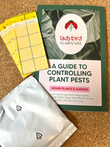 Fungus Gnat treatment bundle (includes free First Class shipping) - Dandys Landscape Supplies